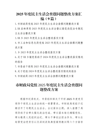2025年度民主生活会查摆问题整改方案汇编（9篇）