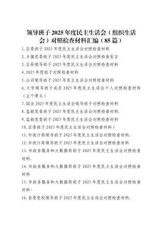 班子2025年度民主生活会对照检查材料汇编（85篇）
