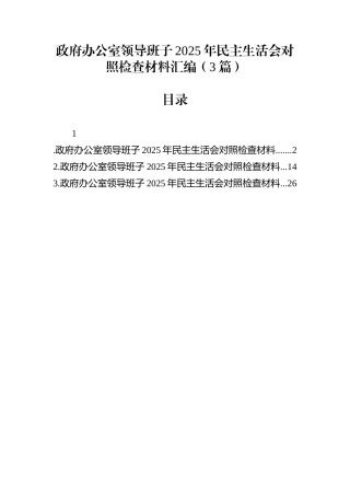 政府办公室领导班子2025年民主生活会对照检查材料汇编（3篇） (1)(1)