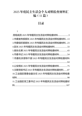 2025年度民主生活会个人对照检查材料汇编（11篇）