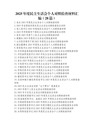 2025年度民主生活会个人对照检查材料汇编（28篇）