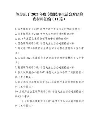 领导班子2025年度民主生活会对照检查材料汇编（11篇）