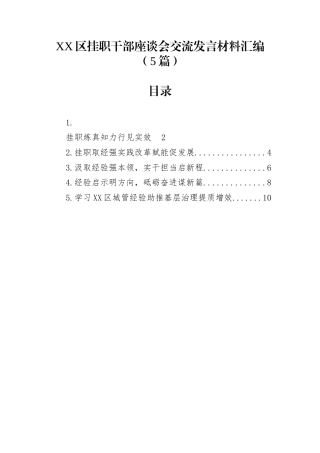XX区挂职干部座谈会交流发言材料汇编（5篇）