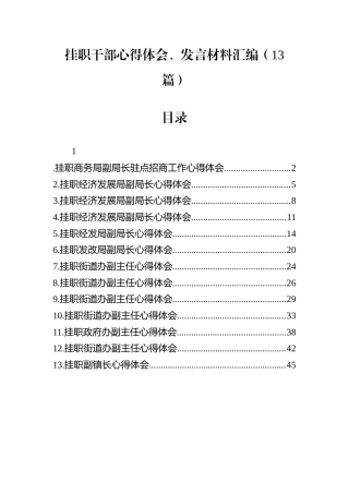 挂职干部心得体会、发言材料汇编（13篇）