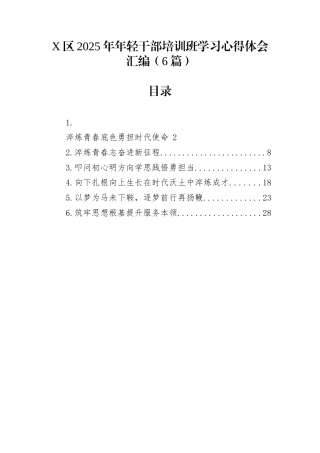 X区2025年年轻干部培训班学习心得体会汇编（6篇）