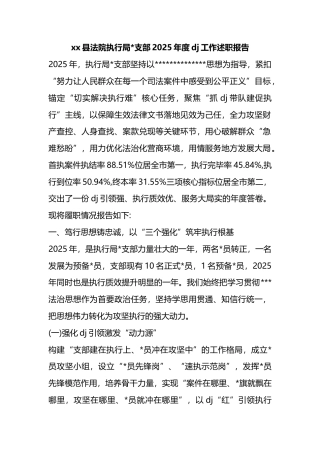 县法院执行局支部2025年度党建工作述职报告