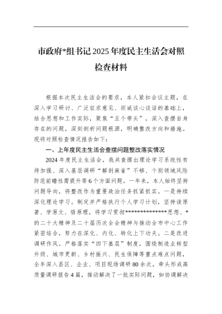 市政府书记2025年度民主生活会对照检查材料