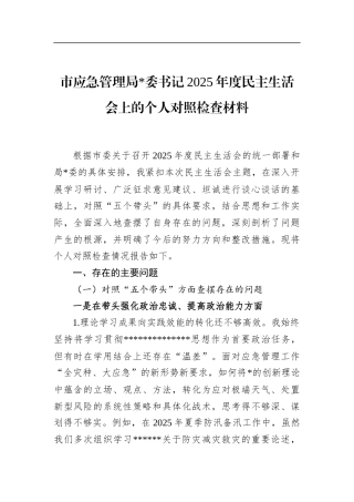 市应急管理局书记2025年度民主生活会上的个人对照检查材料