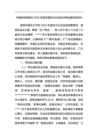 市委宣传部部长2025年度专题民主生活会对照检查发言材料