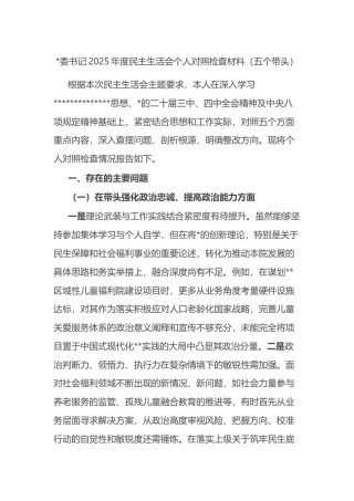 书记2025年度民主生活会个人对照检查材料（五个带头）