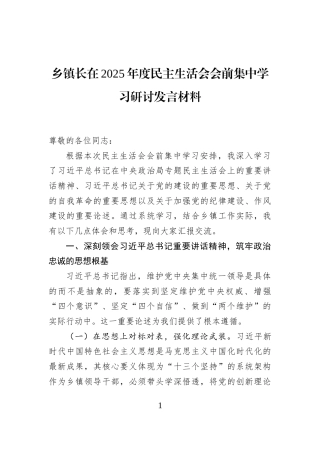 乡镇长在2025年度民主生活会会前集中学习研讨发言材料