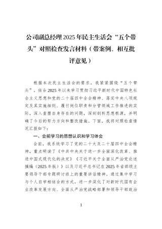 公司副总经理2025年民主生活会“五个带头”对照检查发言材料（带案例、相互批评意见）