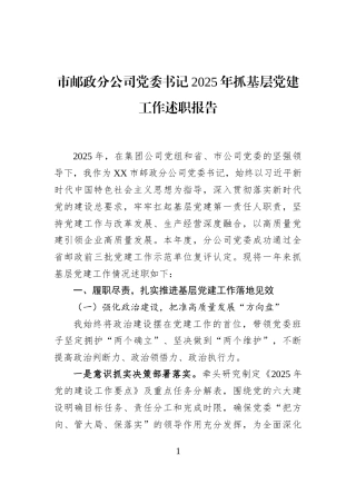 市邮政分公司党委书记2025年抓基层党建工作述职报告