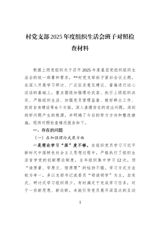 村党支部2025年度组织生活会班子对照检查材料