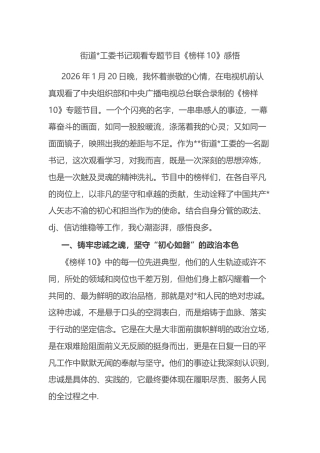 街道书记观看专题节目《榜样10》感悟心得