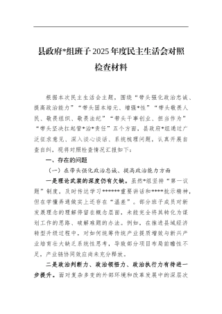 县政府班子2025年度民主生活会对照检查材料