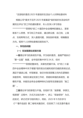 支部组织委员2025年度组织生活会个人对照检查材料