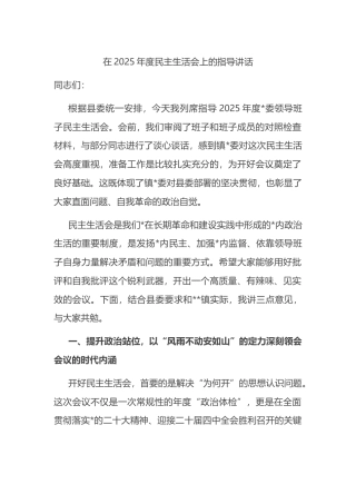 在2025年度民主生活会上的指导讲话