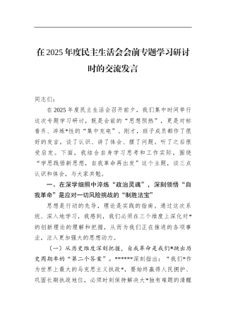 在2025年度民主生活会会前专题学习研讨时的交流发言