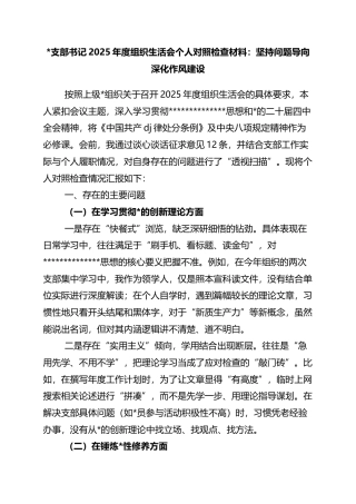 支部书记2025年度组织生活会个人对照检查材料：坚持问题导向+深化作风建设