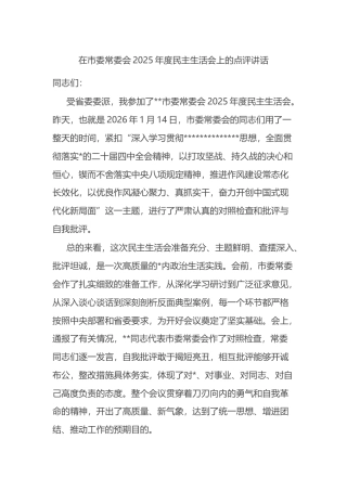 在市委常委会2025年度民主生活会上的点评讲话