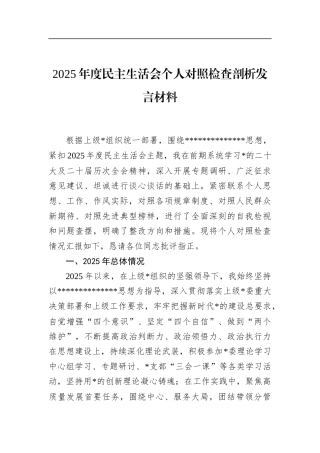 2025年度民主生活会个人对照检查剖析发言材料