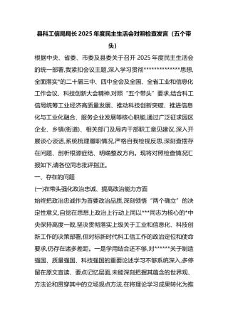 县科工信局局长2025年度民主生活会对照检查发言（五个带头）