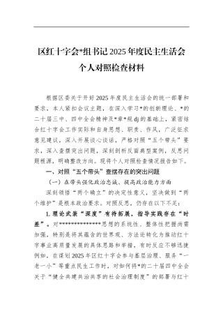 区红十字会书记2025年度民主生活会个人对照检查材料