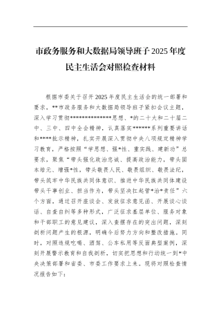 市政务服务和大数据局领导班子2025年度民主生活会对照检查材料