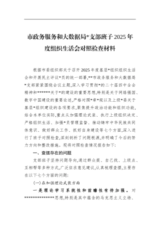 市政务服务和大数据局支部班子2025年度组织生活会对照检查材料