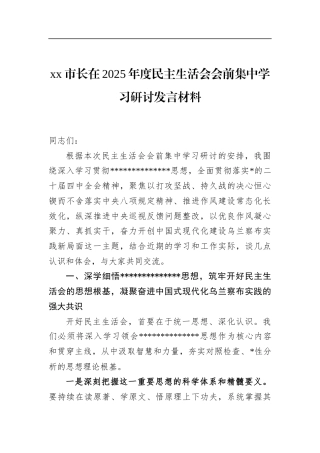 市长在2025年度民主生活会会前集中学习研讨发言材料