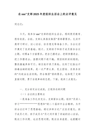 在支部2025年度组织生活会上的点评意见