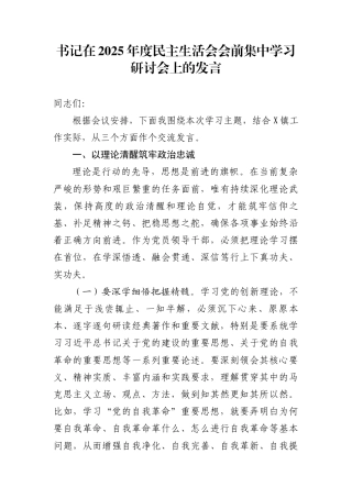 在2025年度民主生活会会前集中学习研讨会上的发言(9篇)
