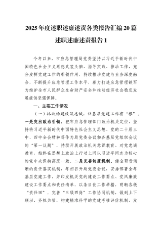 2025年度述职述廉述责各类报告20篇