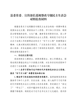 2025年度巡视整改专题民主生活会对照检查材料（6篇）