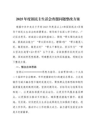 2025年度镇民主生活会查摆问题整改方案