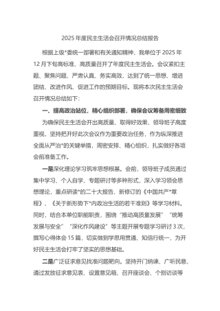 2025年度民主生活会召开情况总结报告