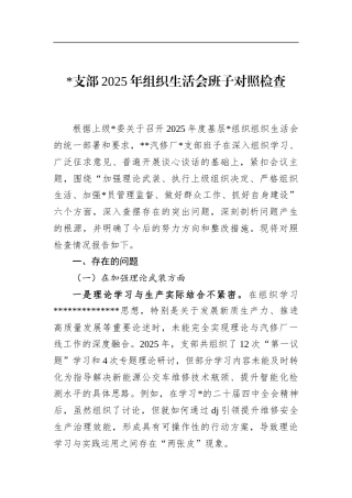 支部2025年组织生活会班子对照检查