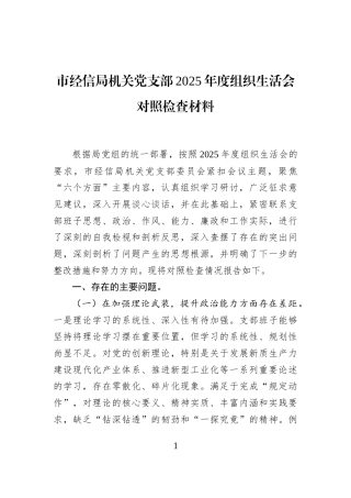 市经信局机关党支部2025年度组织生活会对照检查材料