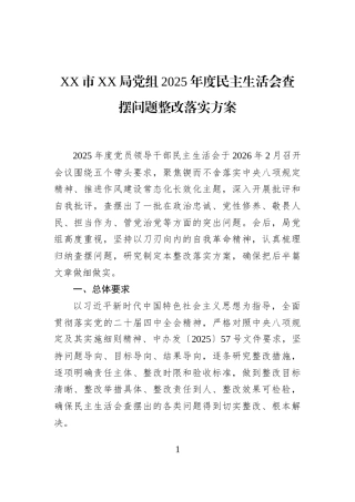 XX市XX局党组2025年度民主生活会查摆问题整改落实方案