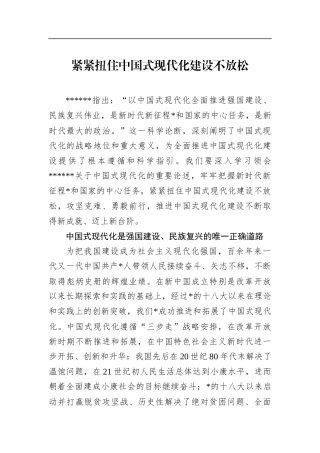 紧紧扭住中国式现代化建设不放松