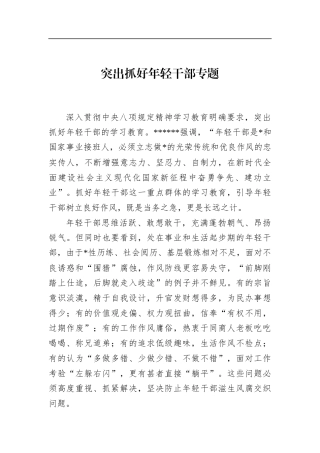 突出抓好年轻干部专题