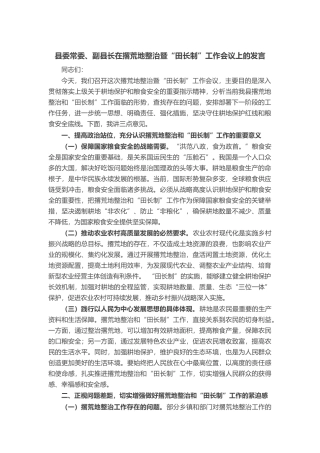 县委常委、副县长在撂荒地整治暨“田长制”工作会议上的发言