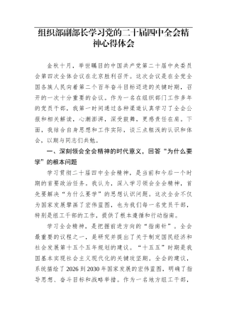 组织部副部长学习党的二十届四中全会精神心得体会