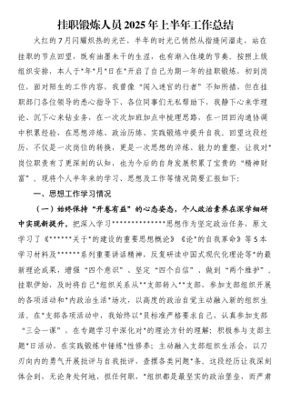 挂职锻炼人员2025年上半年工作总结