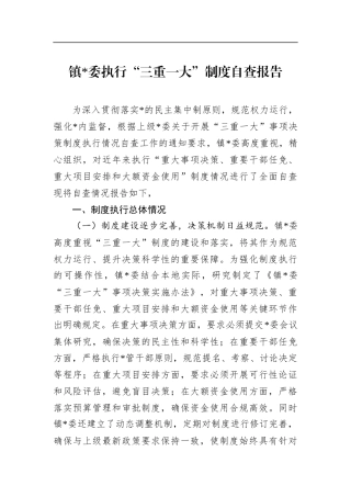 镇执行“三重一大”制度自查报告