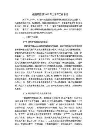 信创项目部2025年上半年工作总结