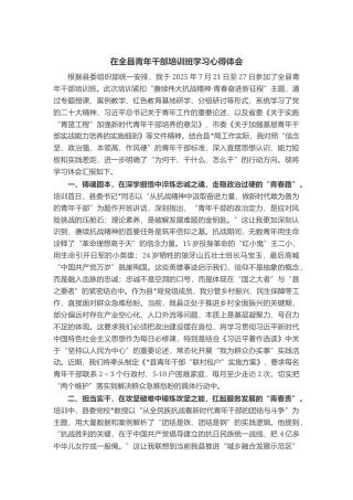 在全县青年干部培训班学习心得体会