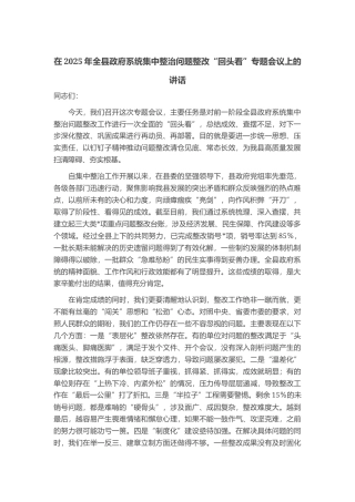 在2025年全县政府系统集中整治问题整改“回头看”专题会议上的讲话