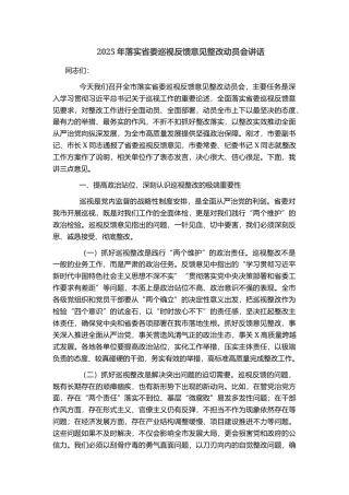 2025年落实省委巡视反馈意见整改动员会讲话(2)